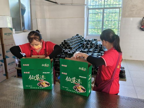 年順食品廠 守護(hù)贛南餐桌安全，共筑健康生活新未來