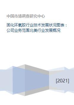 固化環(huán)氧膠行業(yè)技術(shù)發(fā)展?fàn)顩r、業(yè)務(wù)范圍及北美市場(chǎng)概況